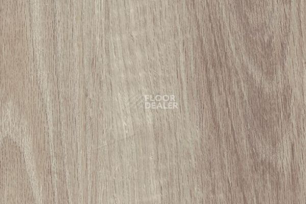 Виниловая плитка ПВХ Vertigo Trend / Wood 3101 CASHMERE OAK 184.2 мм X 1219.2 мм фото 1 | FLOORDEALER